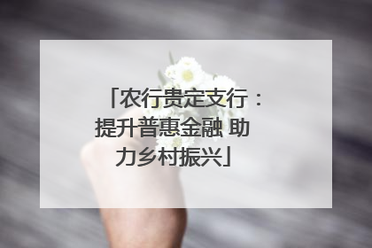 农行贵定支行：提升普惠金融 助力乡村振兴