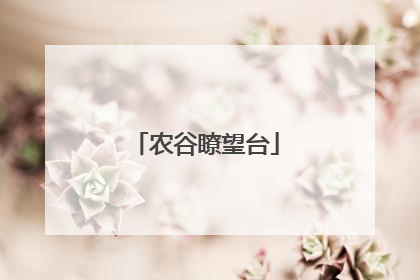 农谷瞭望台