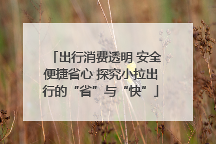 出行消费透明 安全便捷省心 探究小拉出行的“省”与“快”