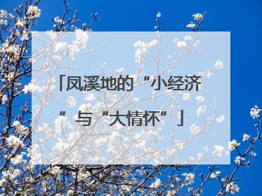 凤溪地的“小经济”与“大情怀”