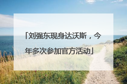 刘强东现身达沃斯，今年多次参加官方活动