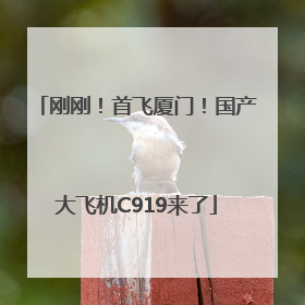 刚刚！首飞厦门！国产大飞机C919来了