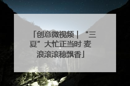 创意微视频｜“三夏”大忙正当时 麦浪滚滚穗飘香