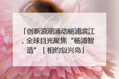 创新浪潮涌动杨浦滨江，全球目光聚焦“杨浦智造”｜相约复兴岛