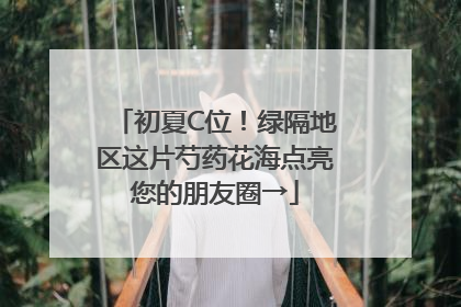 初夏C位！绿隔地区这片芍药花海点亮您的朋友圈→