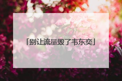 别让流量毁了韦东奕