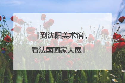 到沈阳美术馆，看法国画家大展
