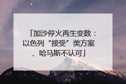 加沙停火再生变数：以色列“接受”美方案、哈马斯不认可