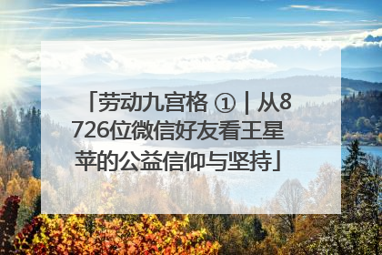 劳动九宫格 ①｜从8726位微信好友看王星苹的公益信仰与坚持