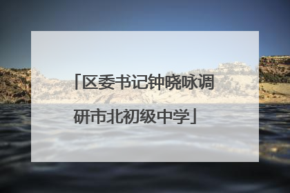 区委书记钟晓咏调研市北初级中学