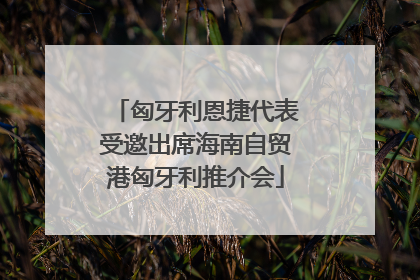 匈牙利恩捷代表受邀出席海南自贸港匈牙利推介会