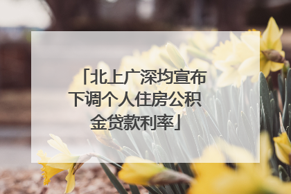 北上广深均宣布下调个人住房公积金贷款利率