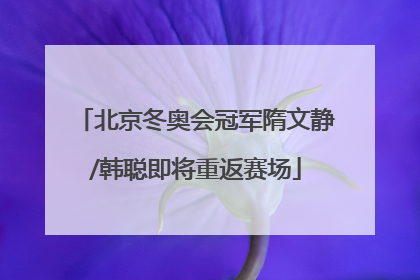 北京冬奥会冠军隋文静/韩聪即将重返赛场