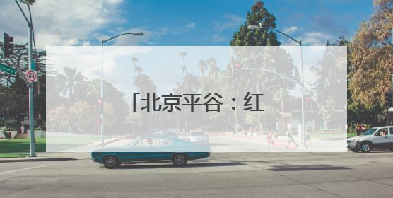 北京平谷：红杏成熟上市
