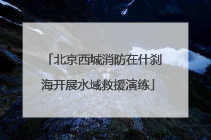 北京西城消防在什刹海开展水域救援演练