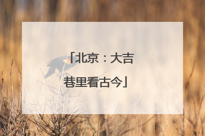 北京：大吉巷里看古今