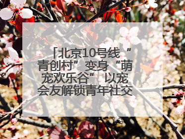 北京10号线“青创村”变身“萌宠欢乐谷” 以宠会友解锁青年社交新范式