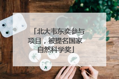 北大韦东奕参与项目，被提名国家自然科学奖