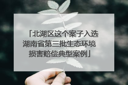 北湖区这个案子入选湖南省第三批生态环境损害赔偿典型案例