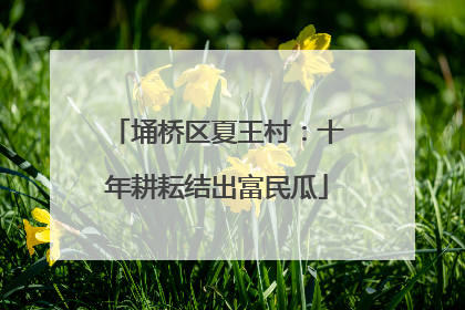 埇桥区夏王村：十年耕耘结出富民瓜