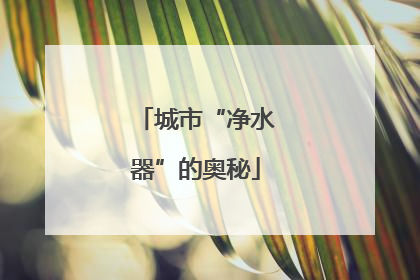 城市“净水器”的奥秘