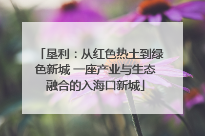 垦利：从红色热土到绿色新城 一座产业与生态融合的入海口新城