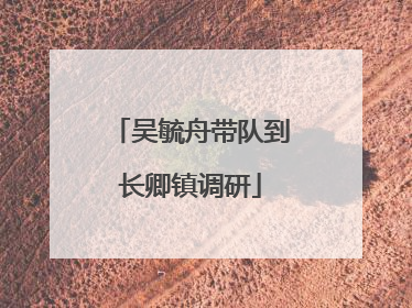 吴毓舟带队到长卿镇调研