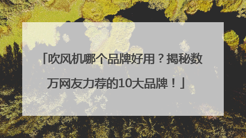 吹风机哪个品牌好用？揭秘数万网友力荐的10大品牌！