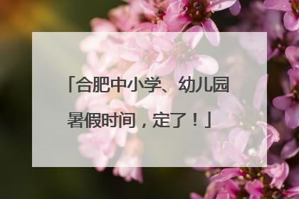 合肥中小学、幼儿园暑假时间，定了！