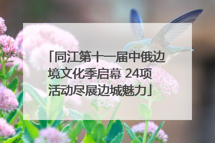 同江第十一届中俄边境文化季启幕 24项活动尽展边城魅力