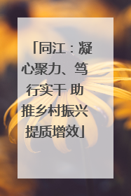 同江：凝心聚力、笃行实干 助推乡村振兴提质增效
