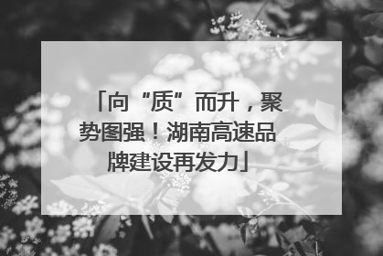 向“质”而升，聚势图强！湖南高速品牌建设再发力