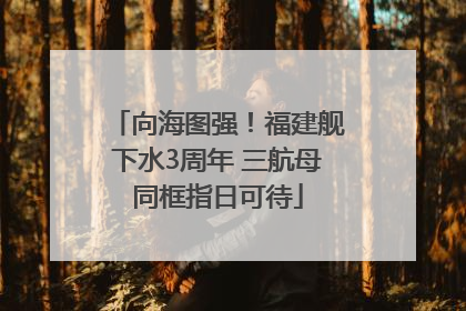 向海图强！福建舰下水3周年 三航母同框指日可待