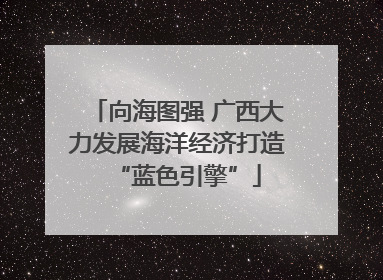 向海图强 广西大力发展海洋经济打造“蓝色引擎”