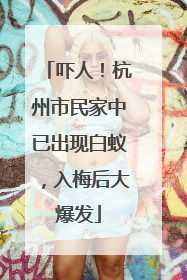 吓人！杭州市民家中已出现白蚁，入梅后大爆发