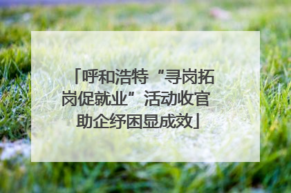呼和浩特“寻岗拓岗促就业”活动收官 助企纾困显成效