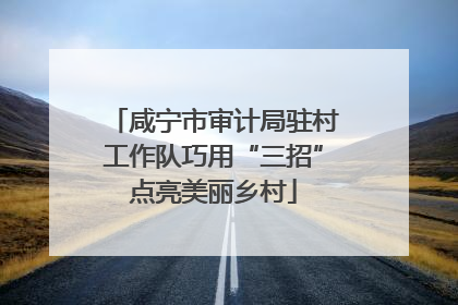 咸宁市审计局驻村工作队巧用“三招”点亮美丽乡村