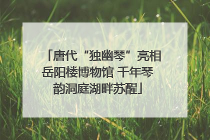 唐代“独幽琴”亮相岳阳楼博物馆 千年琴韵洞庭湖畔苏醒