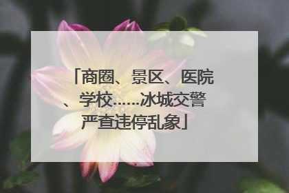 商圈、景区、医院、学校……冰城交警严查违停乱象