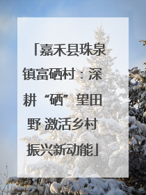 嘉禾县珠泉镇富硒村：深耕“硒”望田野 激活乡村振兴新动能