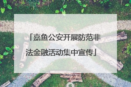 嘉鱼公安开展防范非法金融活动集中宣传