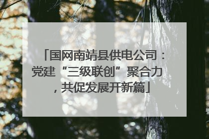国网南靖县供电公司：党建“三级联创”聚合力，共促发展开新篇