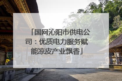 国网沁阳市供电公司：优质电力服务赋能凉皮产业飘香