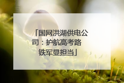 国网洪湖供电公司：护航高考路 铁军显担当