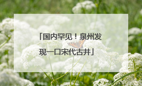 国内罕见！泉州发现一口宋代古井