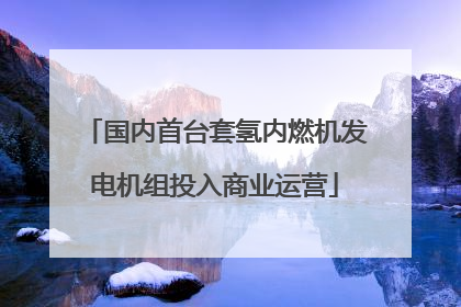 国内首台套氢内燃机发电机组投入商业运营