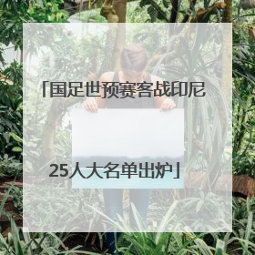 国足世预赛客战印尼25人大名单出炉