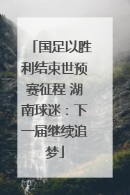 国足以胜利结束世预赛征程 湖南球迷：下一届继续追梦