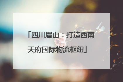 四川眉山:打造西南天府国际物流枢纽