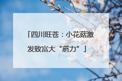 四川旺苍：小花菇激发致富大“蘑力”